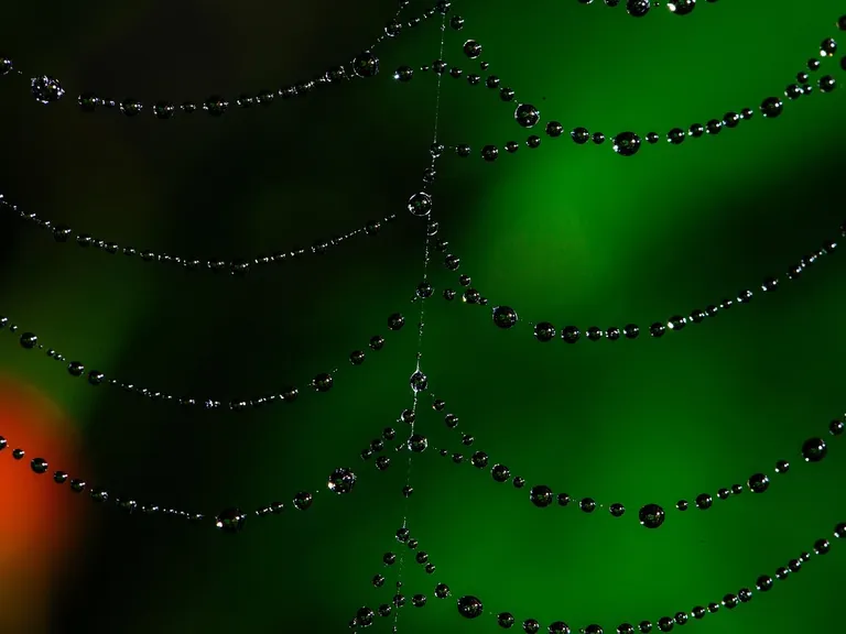 Logo grafika grafik reklama wizytówka wizytówki strona www internetowa tworzenie stron
