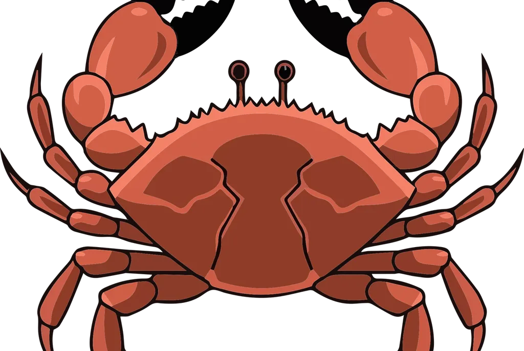 Logo grafika grafik reklama wizytówka wizytówki
