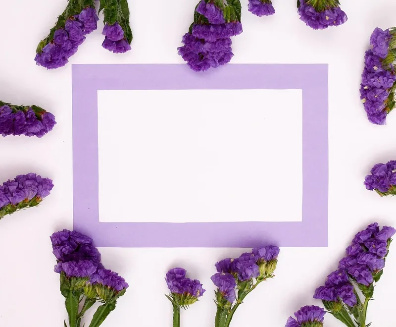 logo grafika grafik wizytówka wizytówki projekty projekt